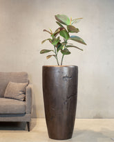 Ficus Elastica - Gummibaum Kunstpflanze