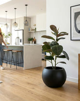 Ficus Elastica - Gummibaum Kunstpflanze