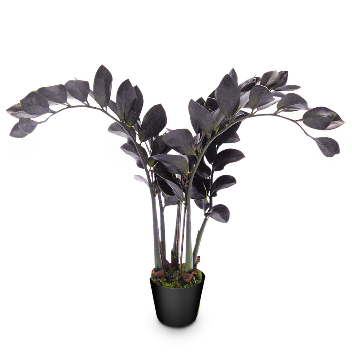 Glücksfeder - Zamioculcas Kunstpflanze