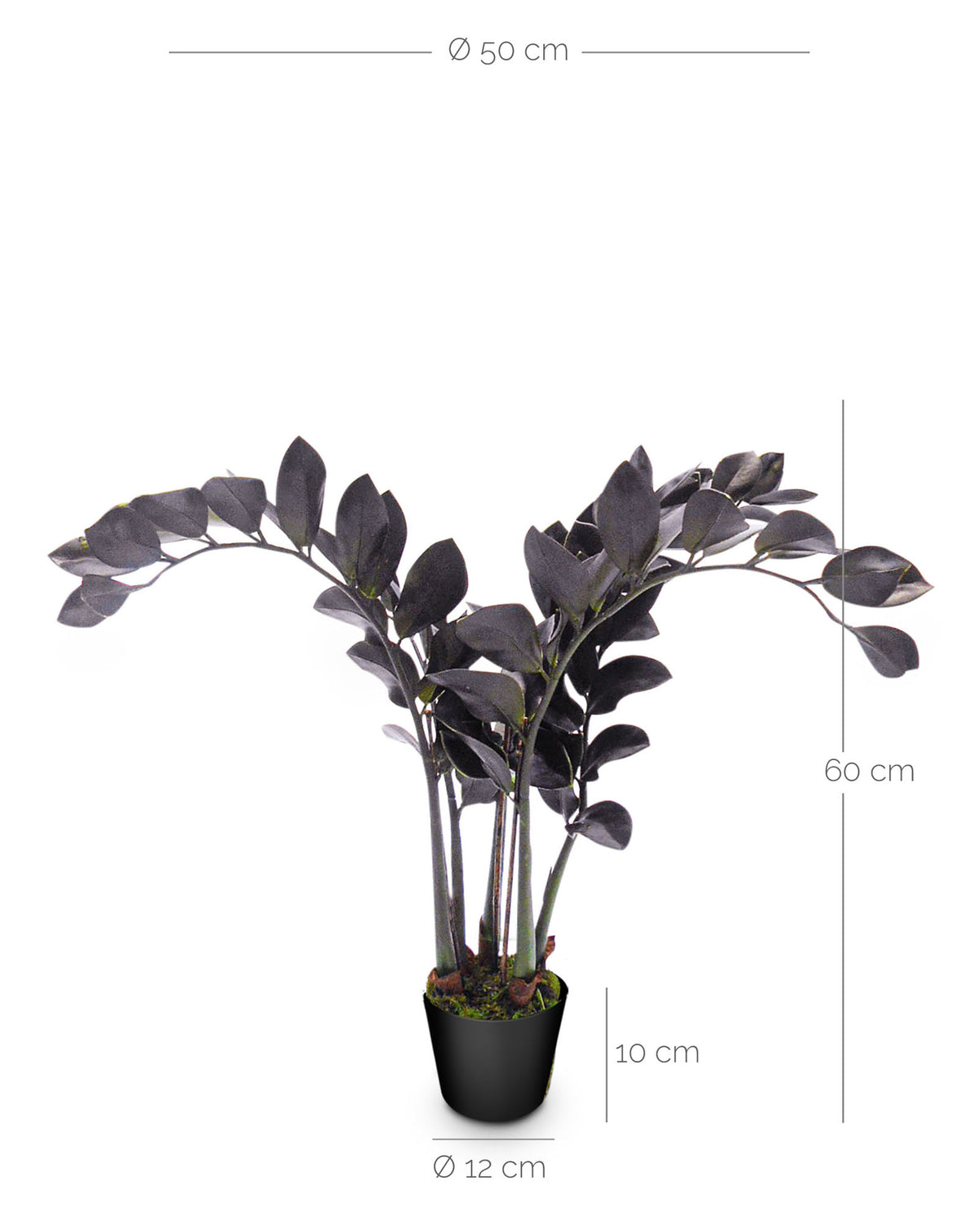 Glücksfeder - Zamioculcas Kunstpflanze