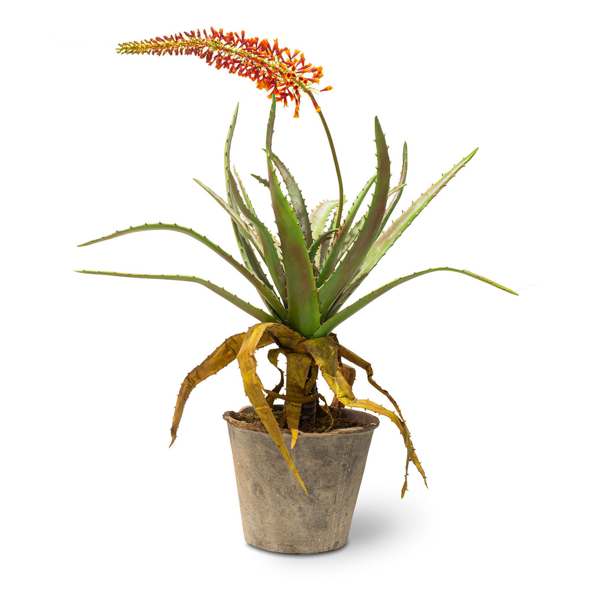 Aloe Kunstpflanze