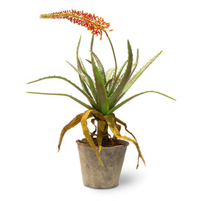 Aloe Kunstpflanze