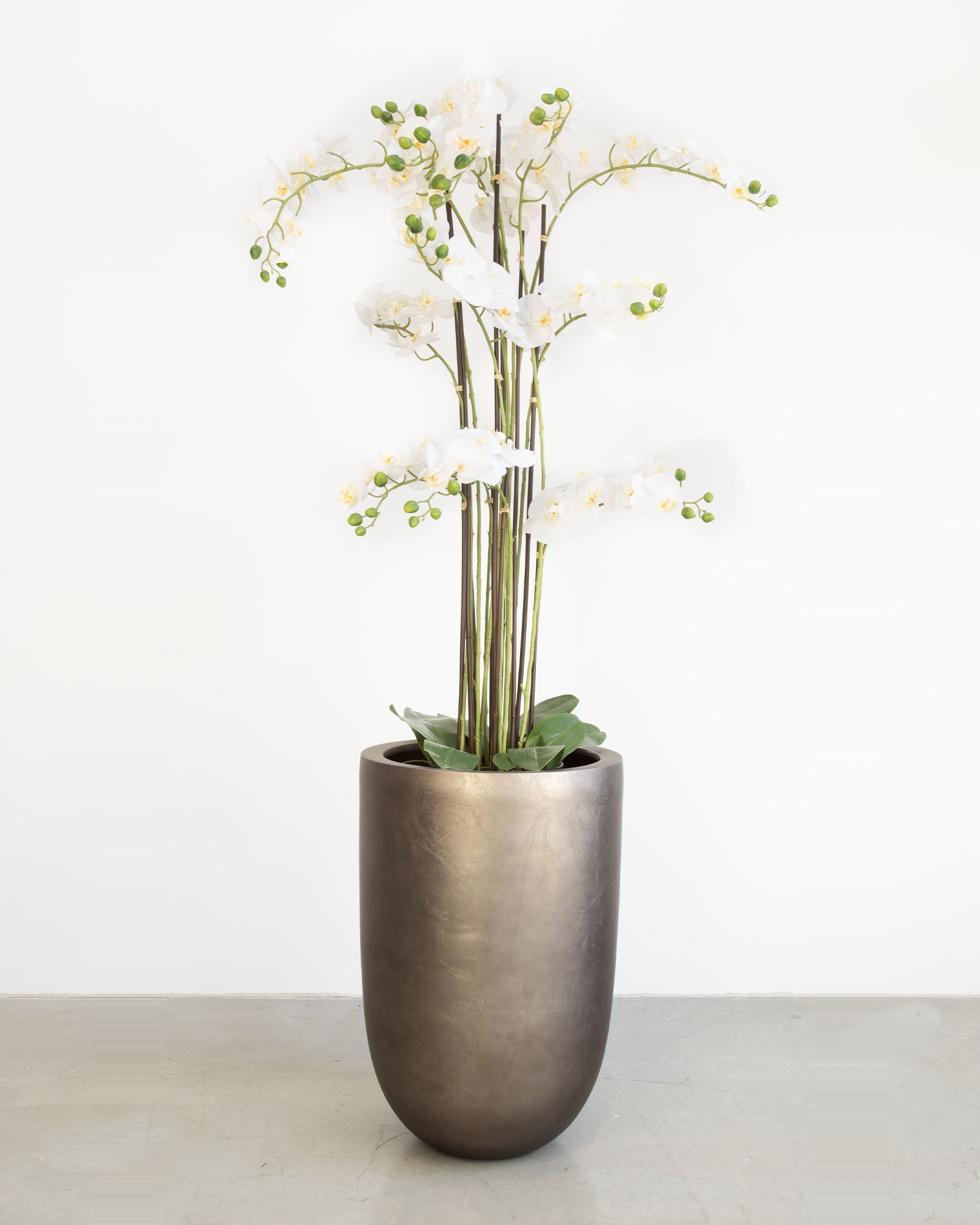 Noblesse Pflanzgefäß Set mit weißer Orchidee