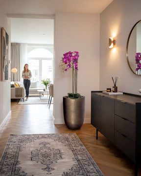Set aus Noblesse Pflanzgefäß mit Orchidee
