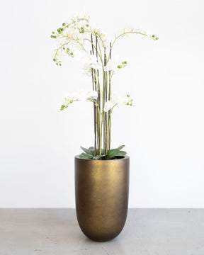 Noblesse Pflanzgefäß Set mit weißer Orchidee