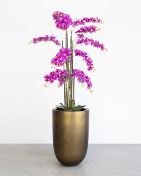 Noblesse Pflanzgefäß Set mit lila Orchidee