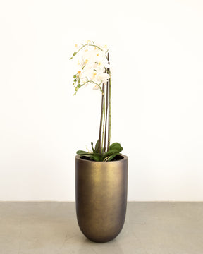 Noblesse Pflanzgefäß Set mit weißer Orchidee