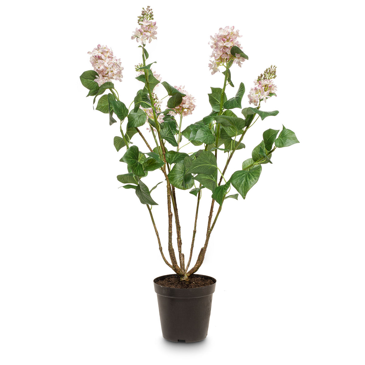 Flieder - Syringa vulgaris Kunstpflanze