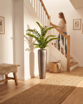 Set aus Noblesse Bodenvase und Zamioculcas