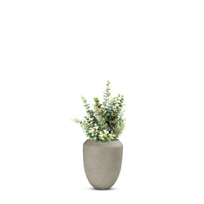 Set aus Calmo Bodengefäß und Eucalyptus