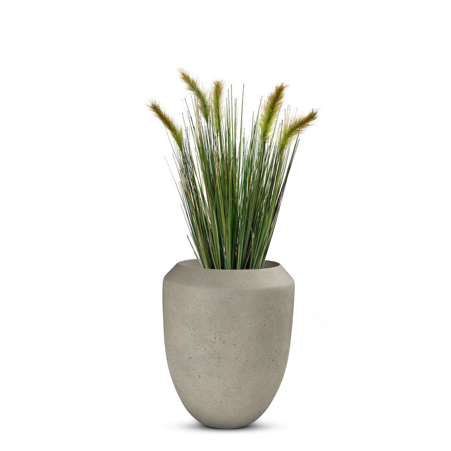 Set aus Calmo und Fuchsschwanzgras