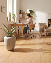 Set aus Calmo Bodengefäß und Aloe Vera