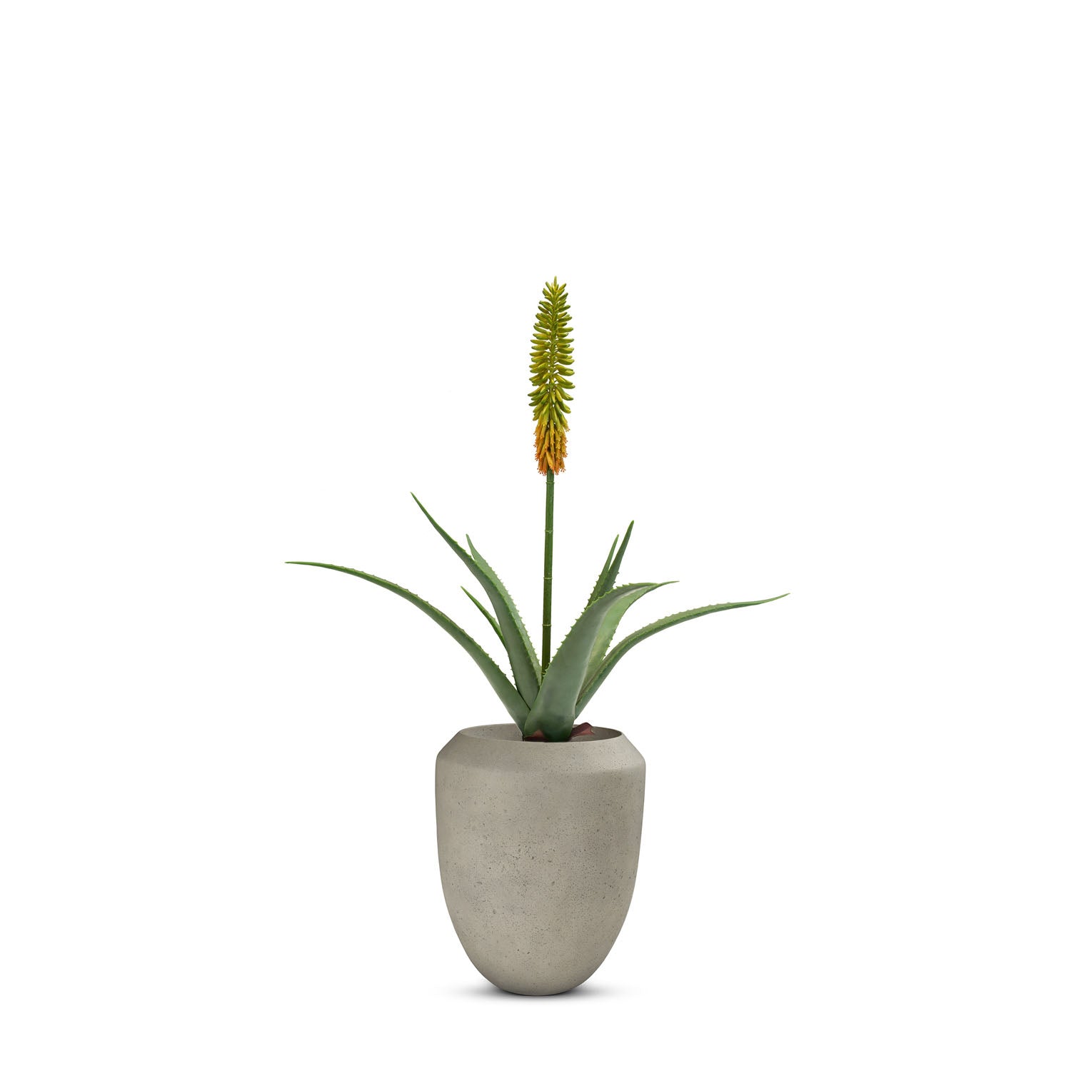 Set aus Calmo Bodengefäß und Aloe Vera