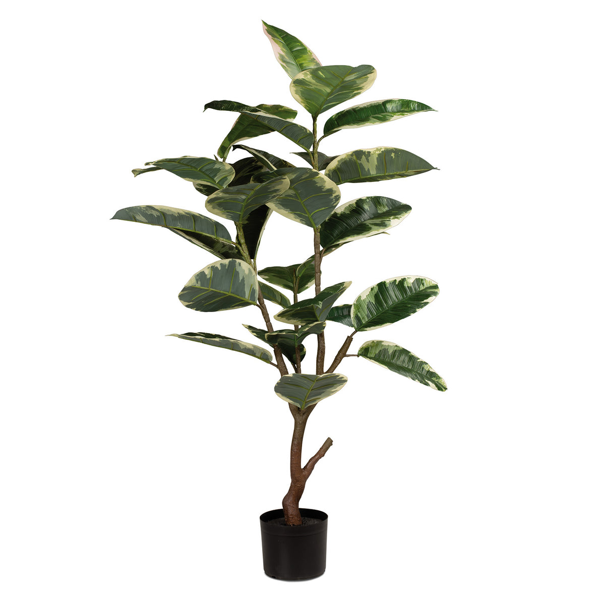 Gummibaum - Ficus Elastica Kunstpflanze