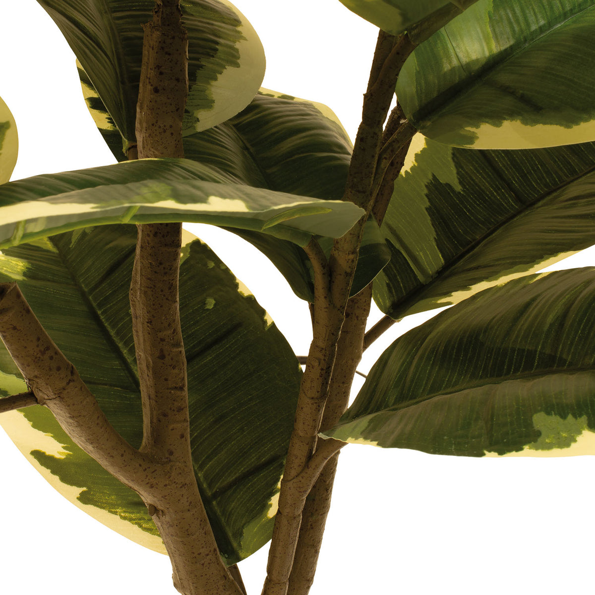 Gummibaum - Ficus Elastica Kunstpflanze