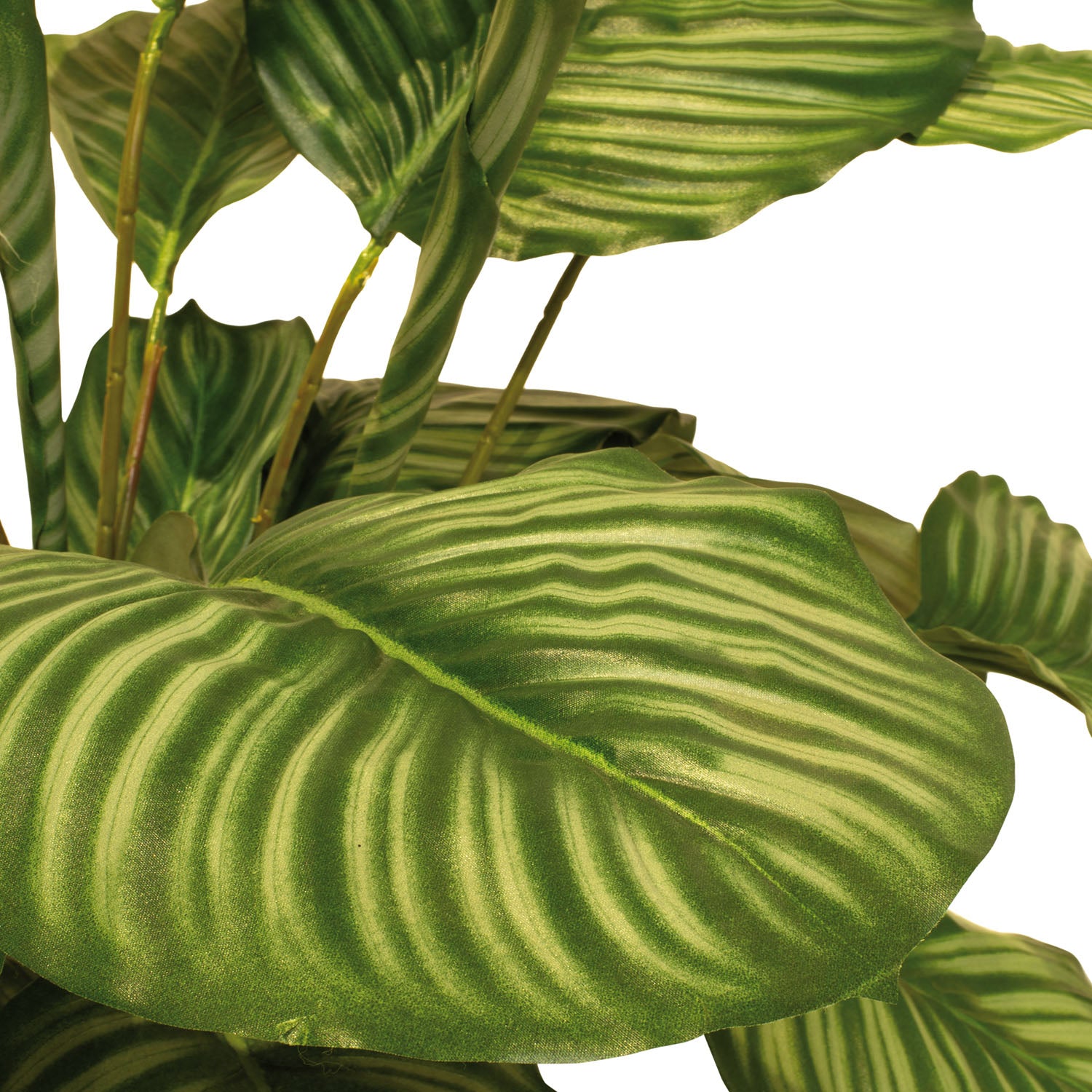 Korbmarante - Calathea Kunstpflanze