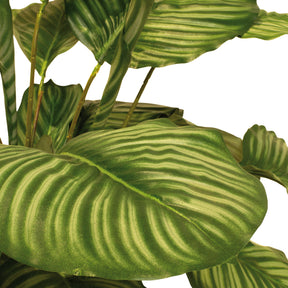 Korbmarante - Calathea Kunstpflanze