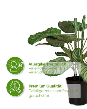 Korbmarante - Calathea Kunstpflanze