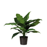 Einblatt - Spathiphyllum Kunstpflanze