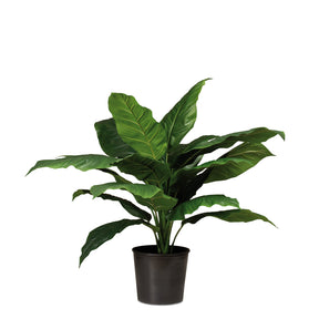 Einblatt - Spathiphyllum Kunstpflanze