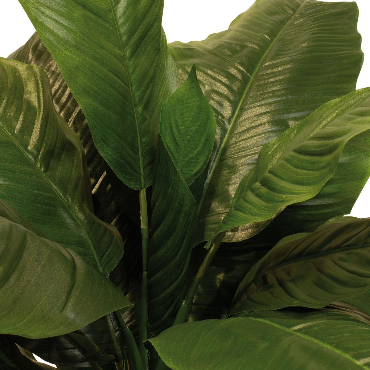 Einblatt - Spathiphyllum Kunstpflanze