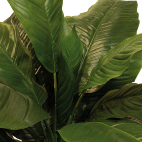 Einblatt - Spathiphyllum Kunstpflanze