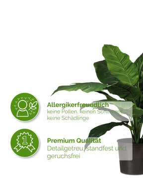 Einblatt - Spathiphyllum Kunstpflanze