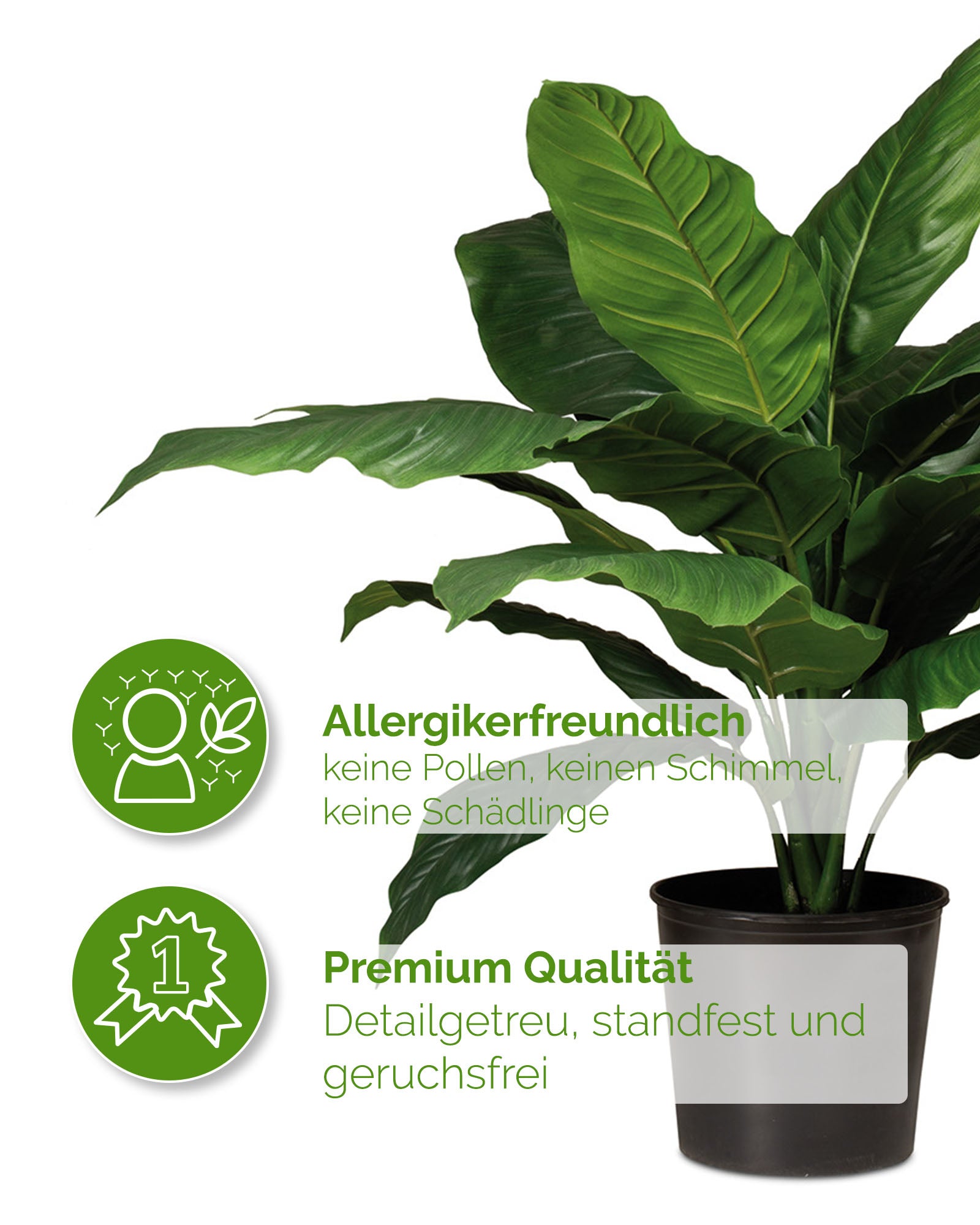 Einblatt Spathiphyllum Kunstpflanze mit weißen Blüten und grünen Blättern Detailansicht der Blattstruktur