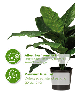 Einblatt Spathiphyllum Kunstpflanze mit weißen Blüten und grünen Blättern Detailansicht der Blattstruktur