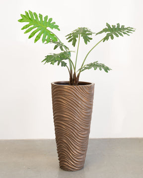 Oviano Set mit Philodendron