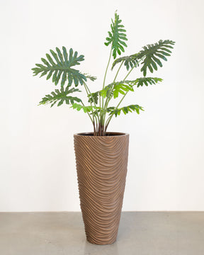 Oviano Set mit Philodendron