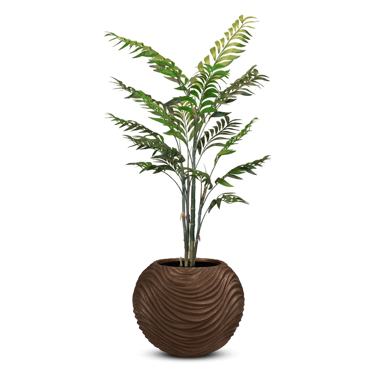 Set aus Oviano Globe und Bambuspalme