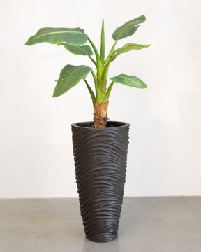 Oviano Set mit Bananenbaum