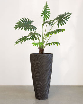 Oviano Set mit Philodendron