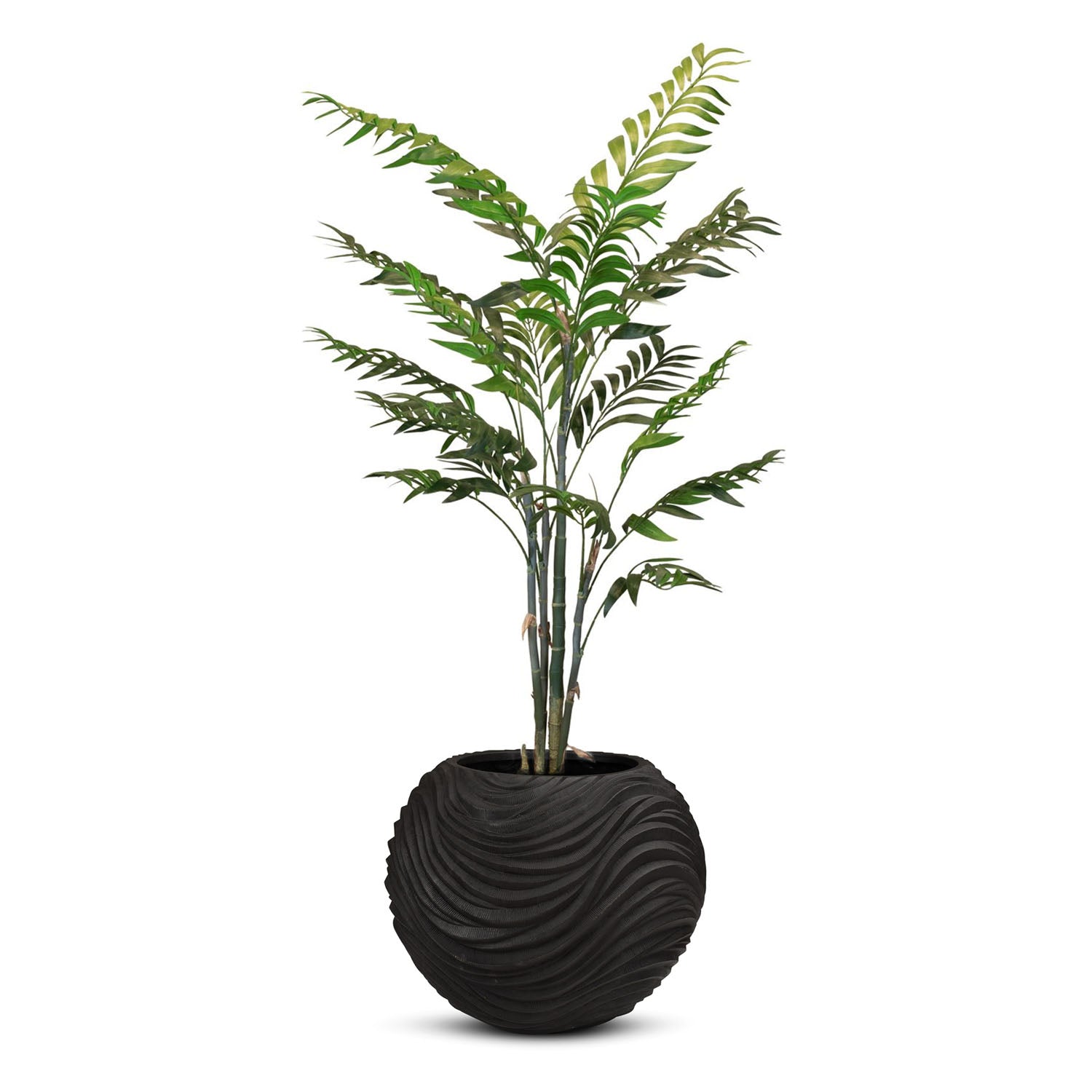 Set aus Oviano Globe und Bambuspalme