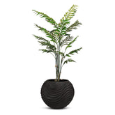 Set aus Oviano Globe und Bambuspalme