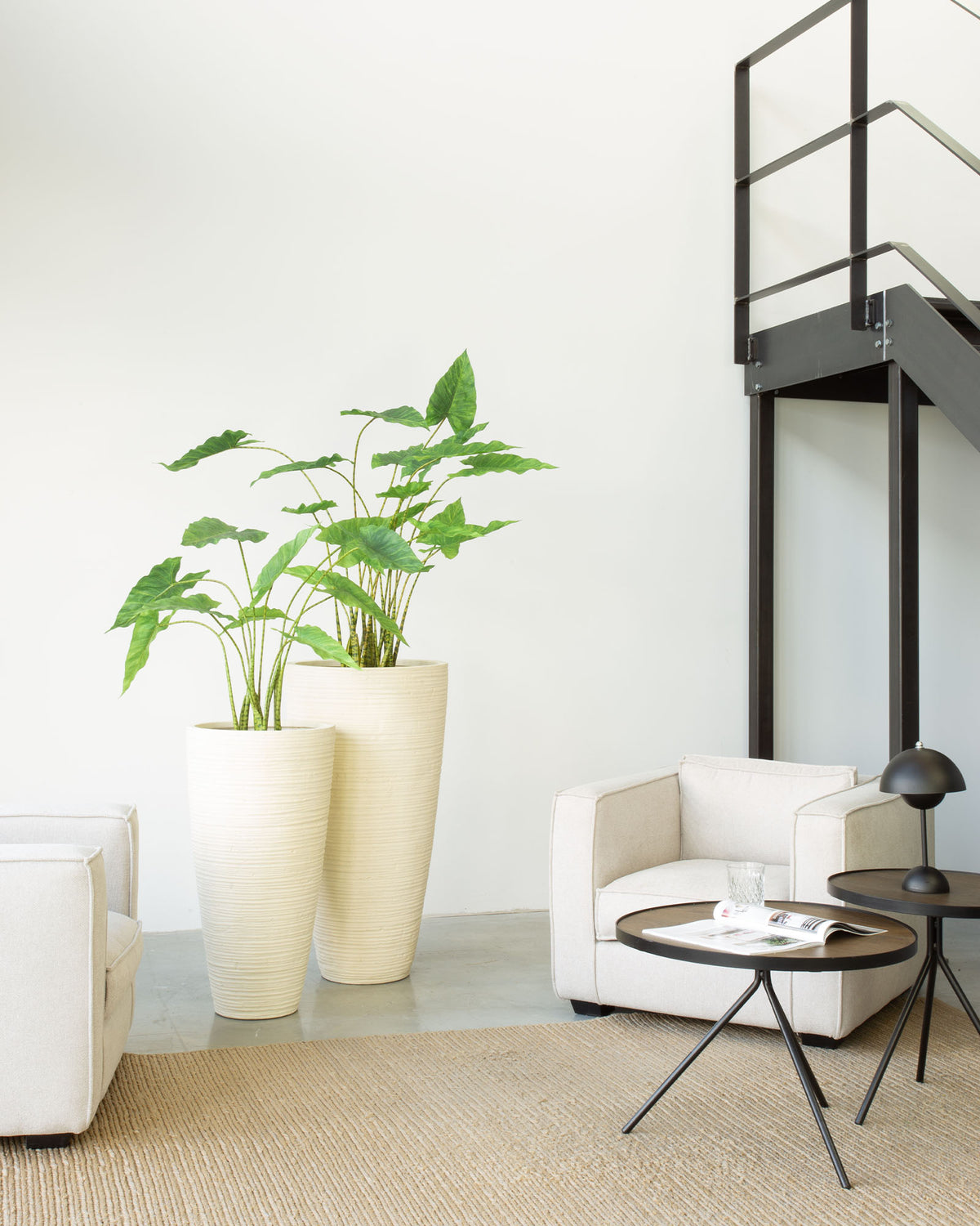 Zebra-Elefantenohr - Alocasia Zebrina Kunstpflanze