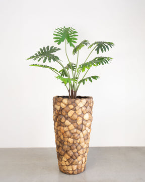 Kokona Set mit Baum-Philodendron
