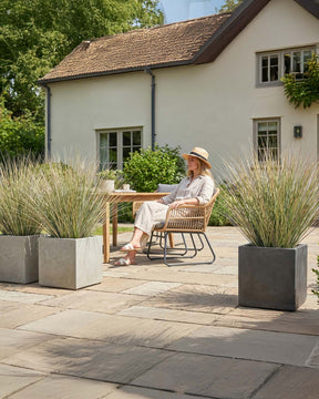 Zwiebelgras im Granistone Pflanzwürfel für Terrasse und Outdoor in der Frontansicht