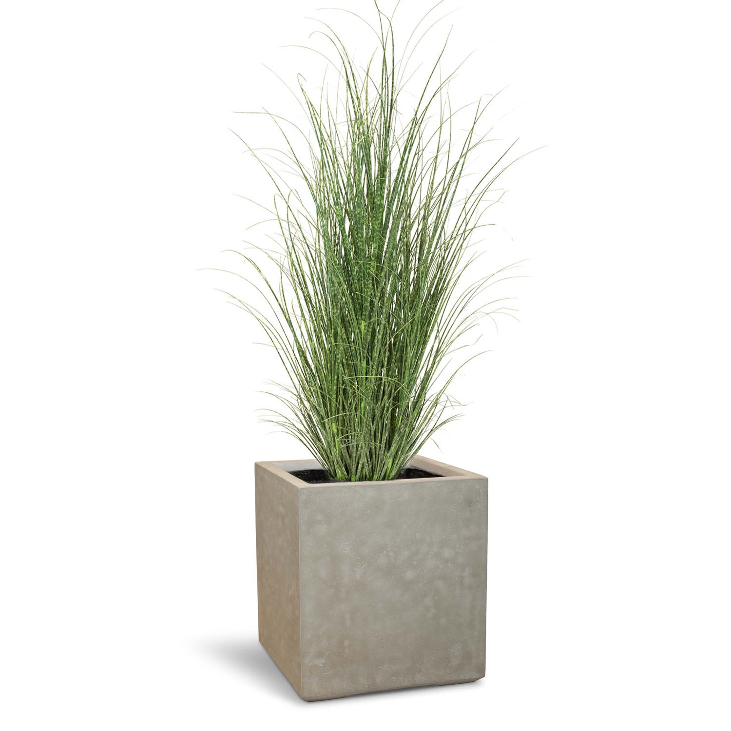 Set aus Granistone Pflanzwürfel und Zebragras