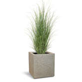 Set aus Granistone Pflanzwürfel und Zebragras