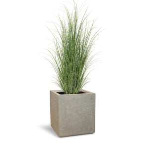 Set aus Granistone Pflanzwürfel und Zebragras