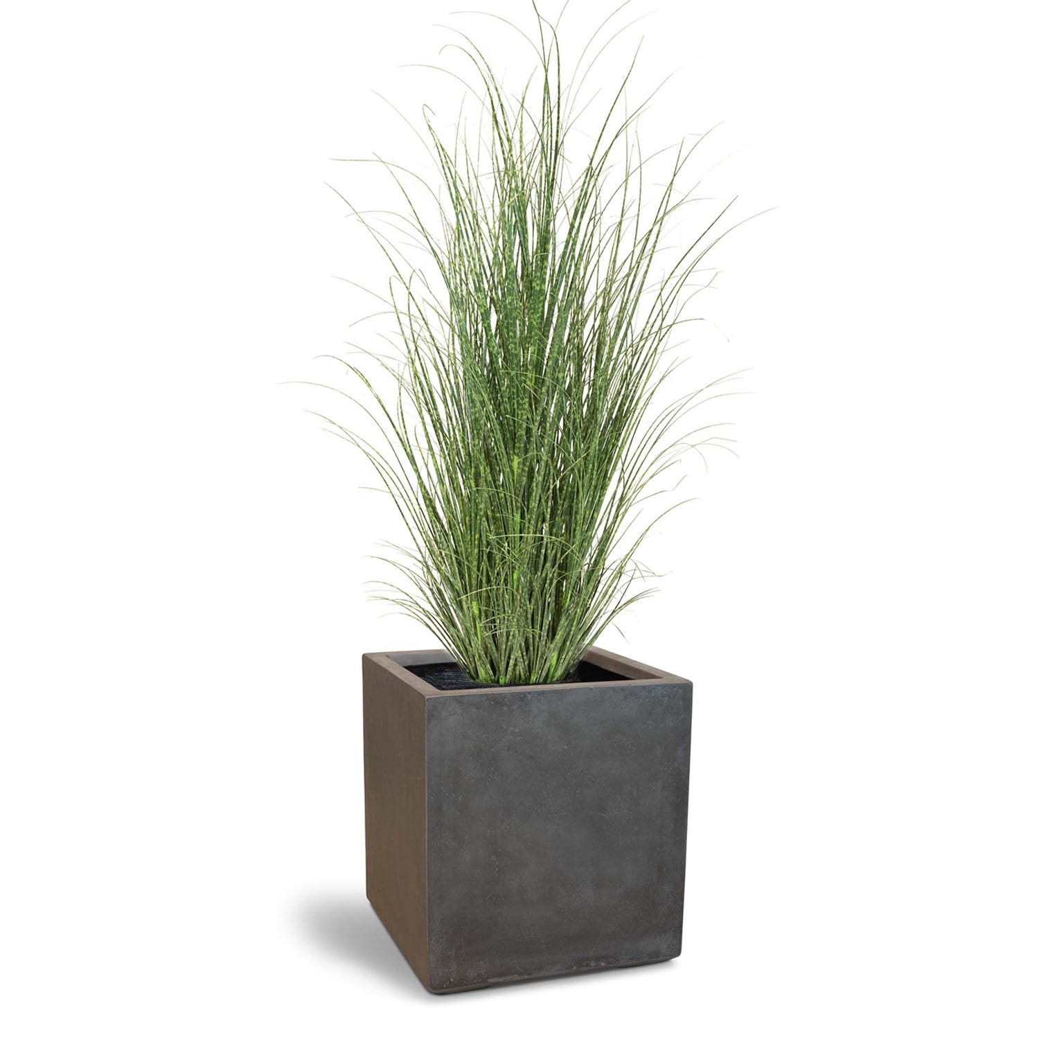 Set aus Granistone Pflanzwürfel und Zebragras