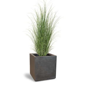 Set aus Granistone Pflanzwürfel und Zebragras