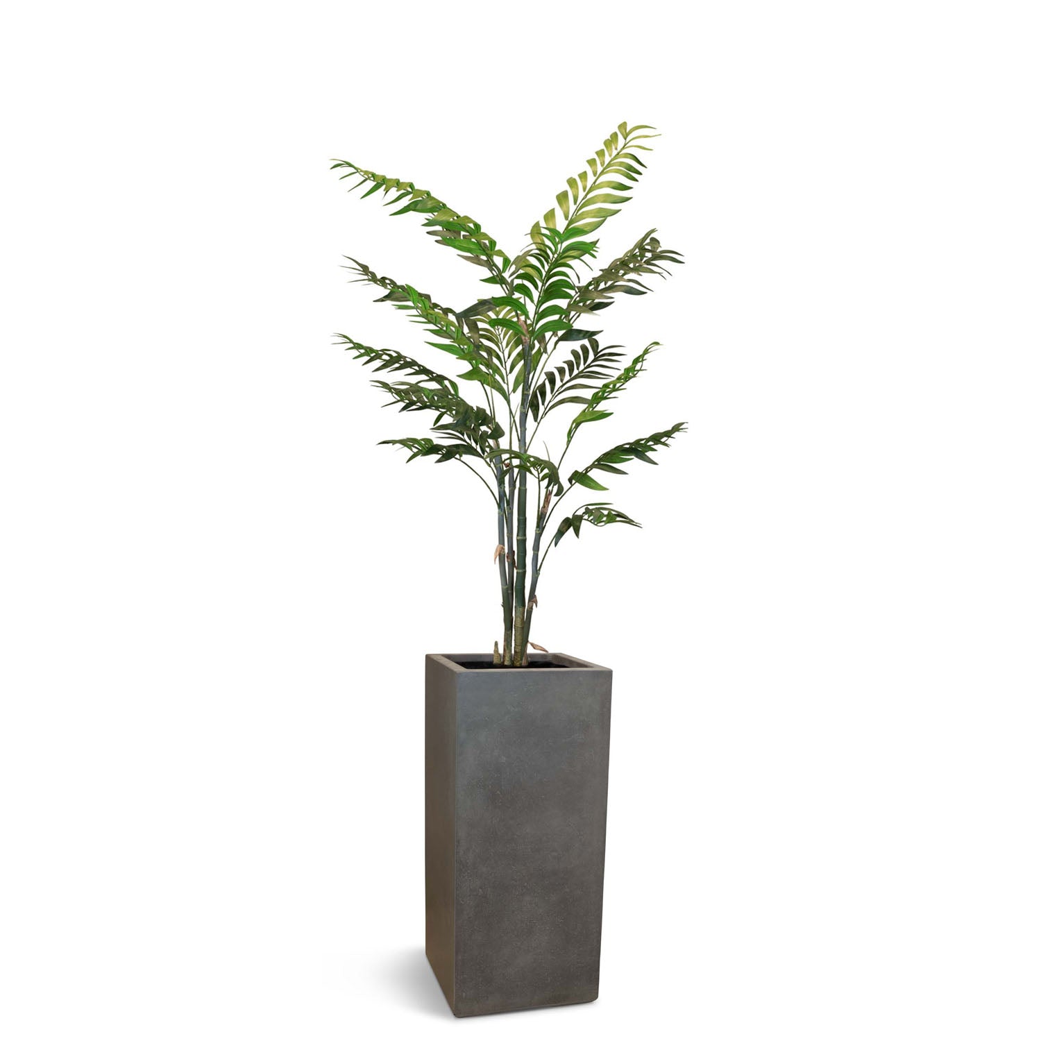 Set aus Granistone Pflanzsäule und Bambuspalme