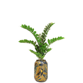Zamioculcas in goldener Bodenvase Safari Gold Detailansicht für moderne Wohnzimmergestaltung