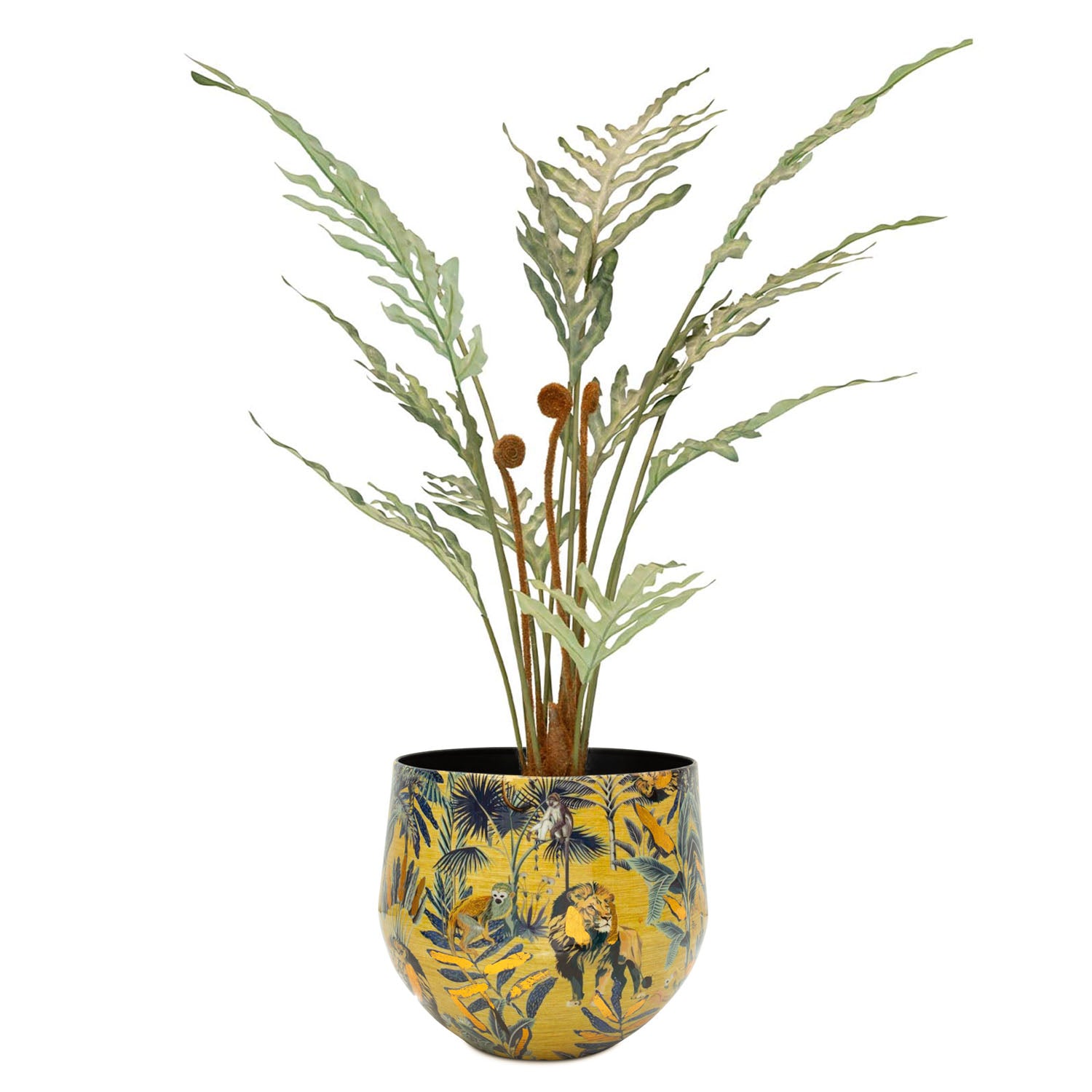 Set aus Designtischgefäß und Goldtüpfelfarn