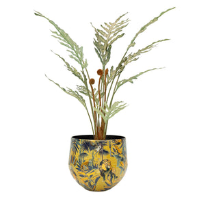 Set aus Designtischgefäß und Goldtüpfelfarn