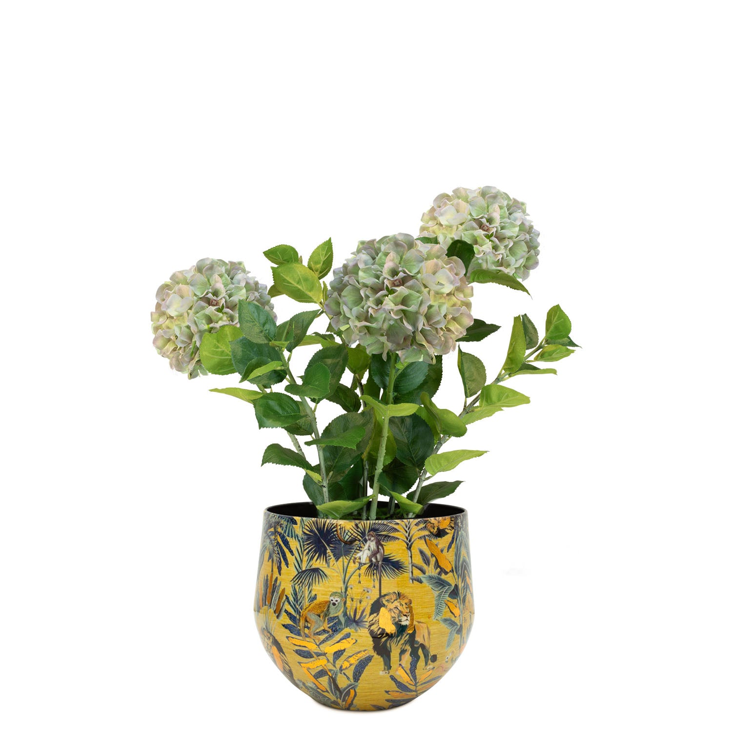 Set aus Designtischgefäß und Hortensie