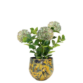 Set aus Designtischgefäß und Hortensie